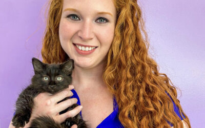 Finding love in cats with special needs: A visit with Nikki Healy, executive director of the Good Mews Animal Foundation