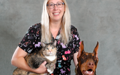 What your cat is really saying: Decoding feline communication
