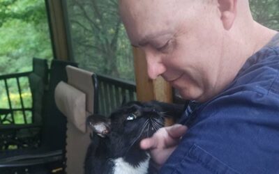 Gray whiskers, golden hearts: Caring for cats in their senior years